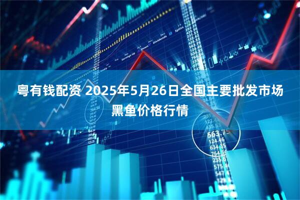 粤有钱配资 2025年5月26日全国主要批发市场黑鱼价格行情