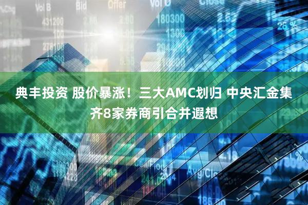 典丰投资 股价暴涨！三大AMC划归 中央汇金集齐8家券商引合并遐想