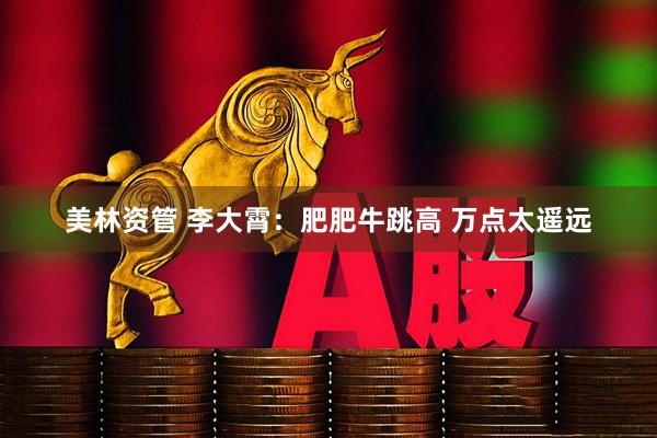 美林资管 李大霄：肥肥牛跳高 万点太遥远