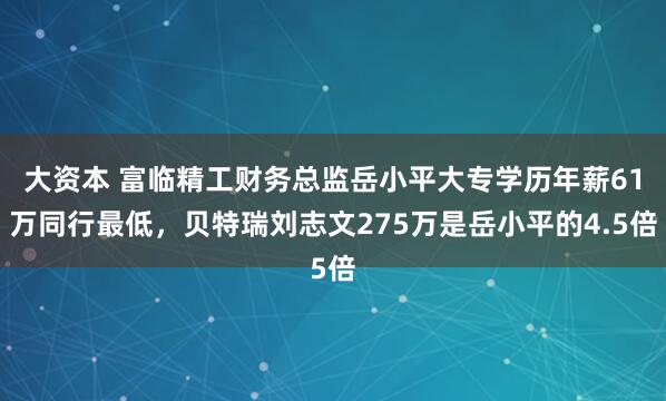大资本 富临精工财务总监岳小平大专学历年薪61万同行最低，贝特瑞刘志文275万是岳小平的4.5倍