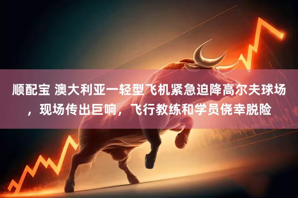 顺配宝 澳大利亚一轻型飞机紧急迫降高尔夫球场，现场传出巨响，飞行教练和学员侥幸脱险