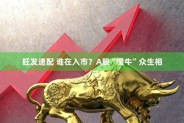 旺发速配 谁在入市？A股“慢牛”众生相