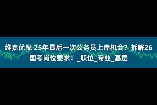 维嘉优配 25年最后一次公务员上岸机会？拆解26国考岗位要求！_职位_专业_基层